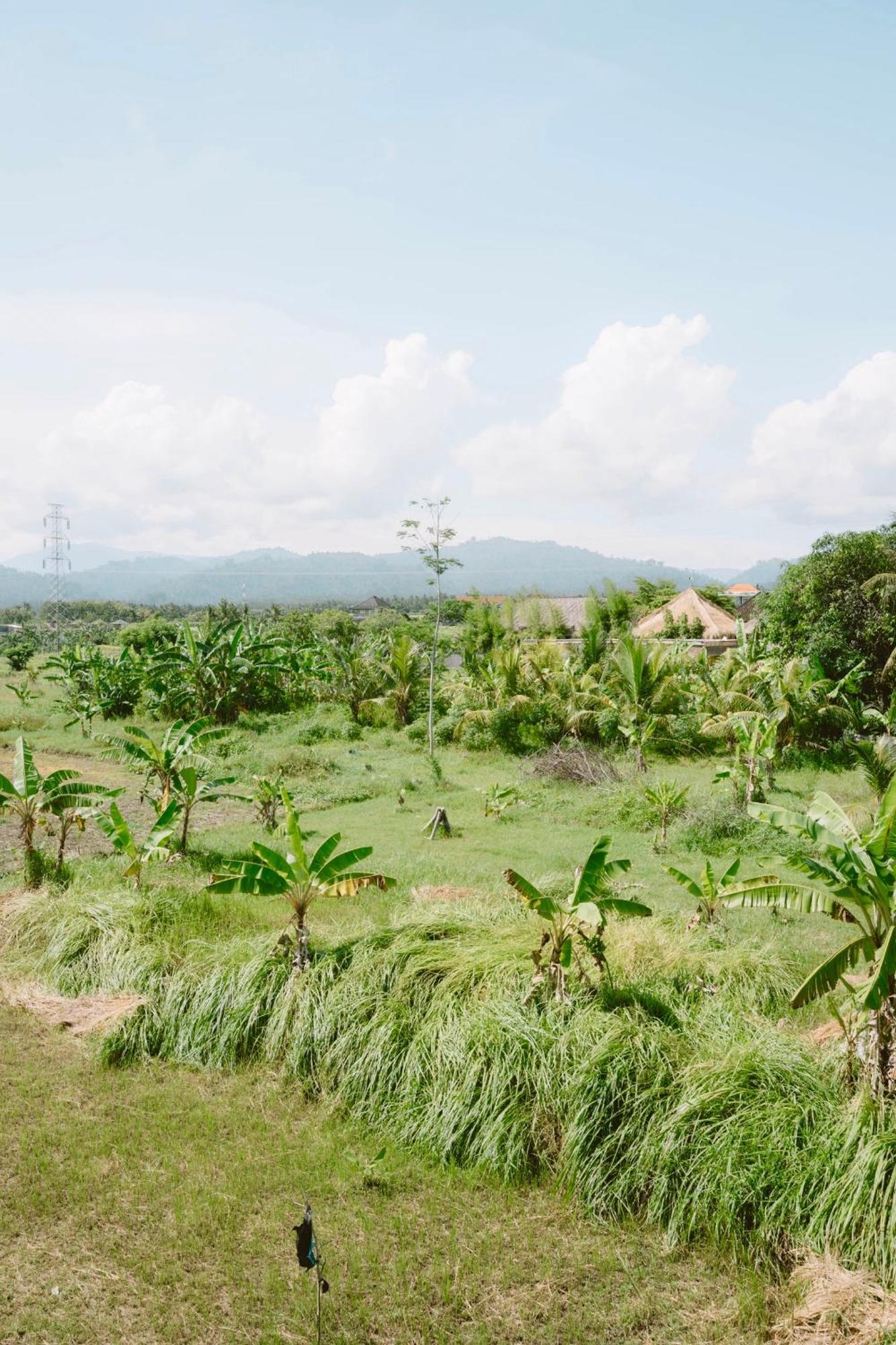 Three Palms Surf & Stay Medewi Airsatang Luaran gambar
